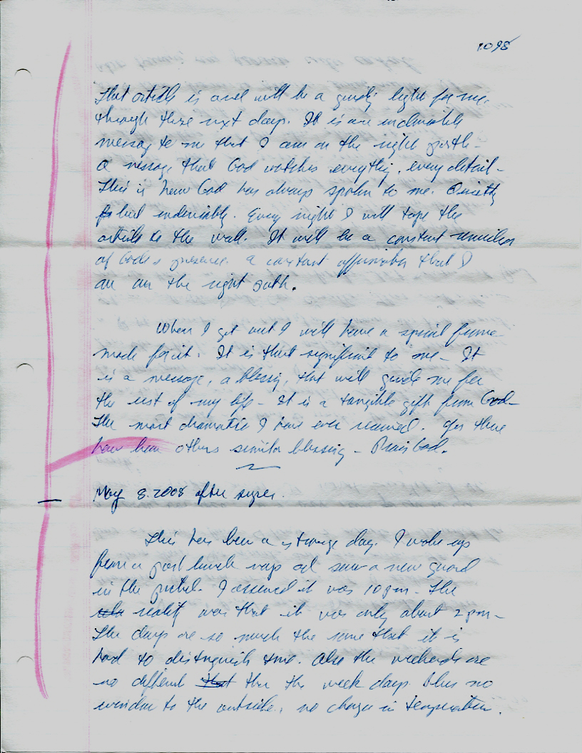 Dr John WorldPeace 2008 Prison Journal